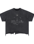 Paris Distressed